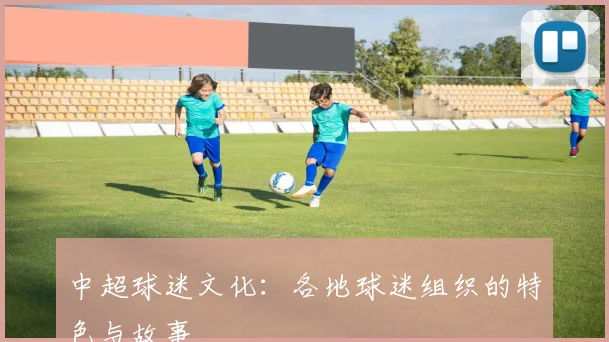 中超球迷文化：各地球迷组织的特色与故事